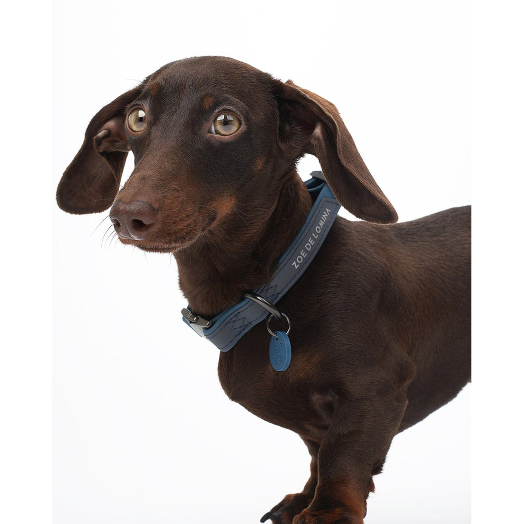 OrbitQuest Outdoor Waterproof Dog Collar